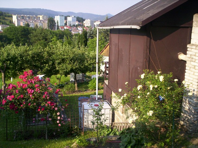 100_1603.JPG