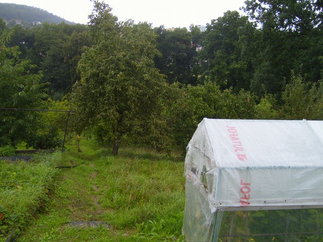S7003444.JPG